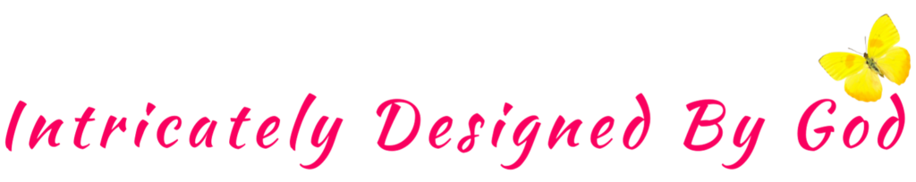 footer-logo-Intricately